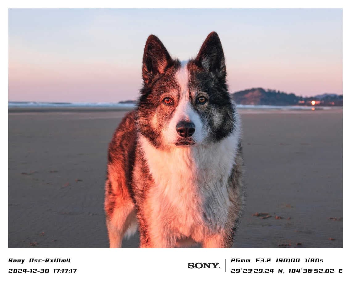 classic2模板预览