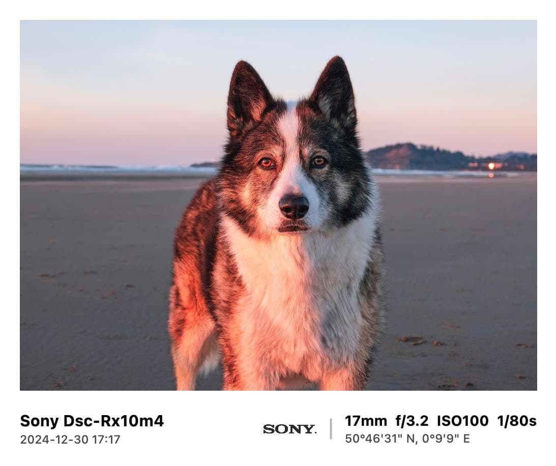 经典二模板预览