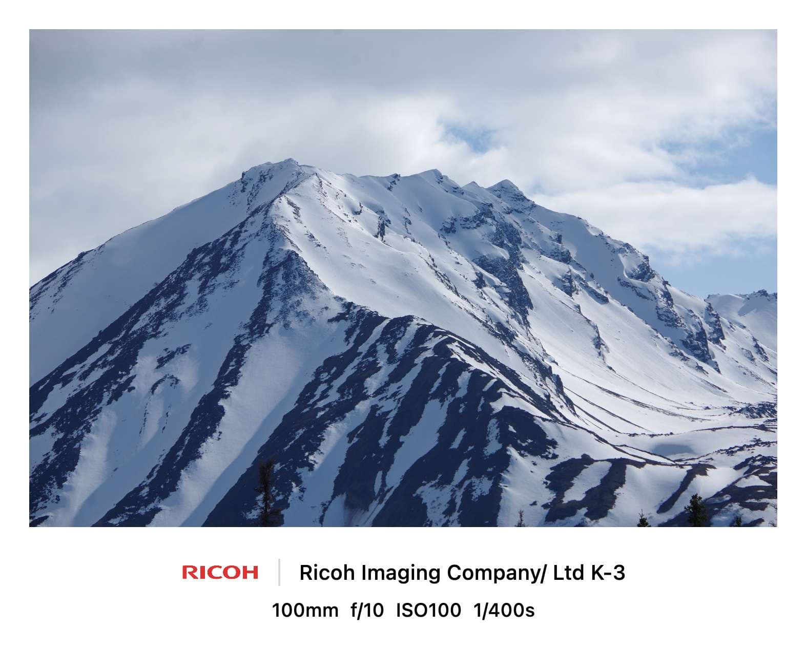 经典五模板预览