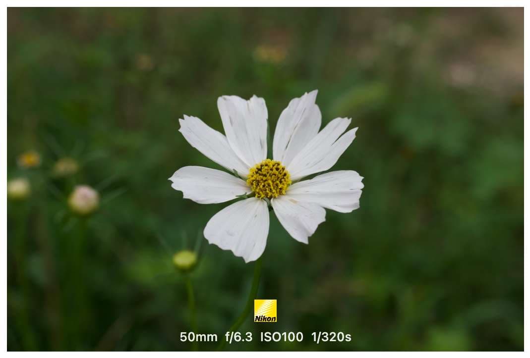 经典七模板预览