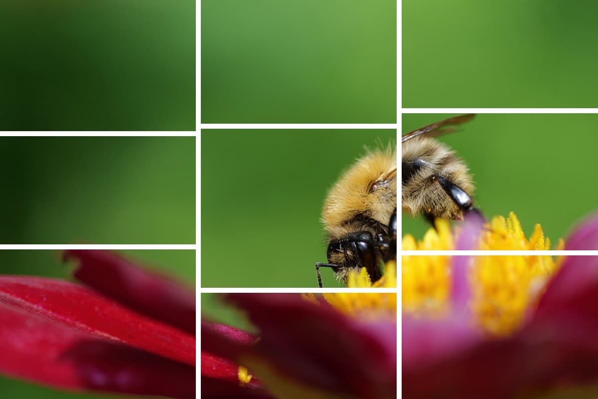 瀑布流模板预览