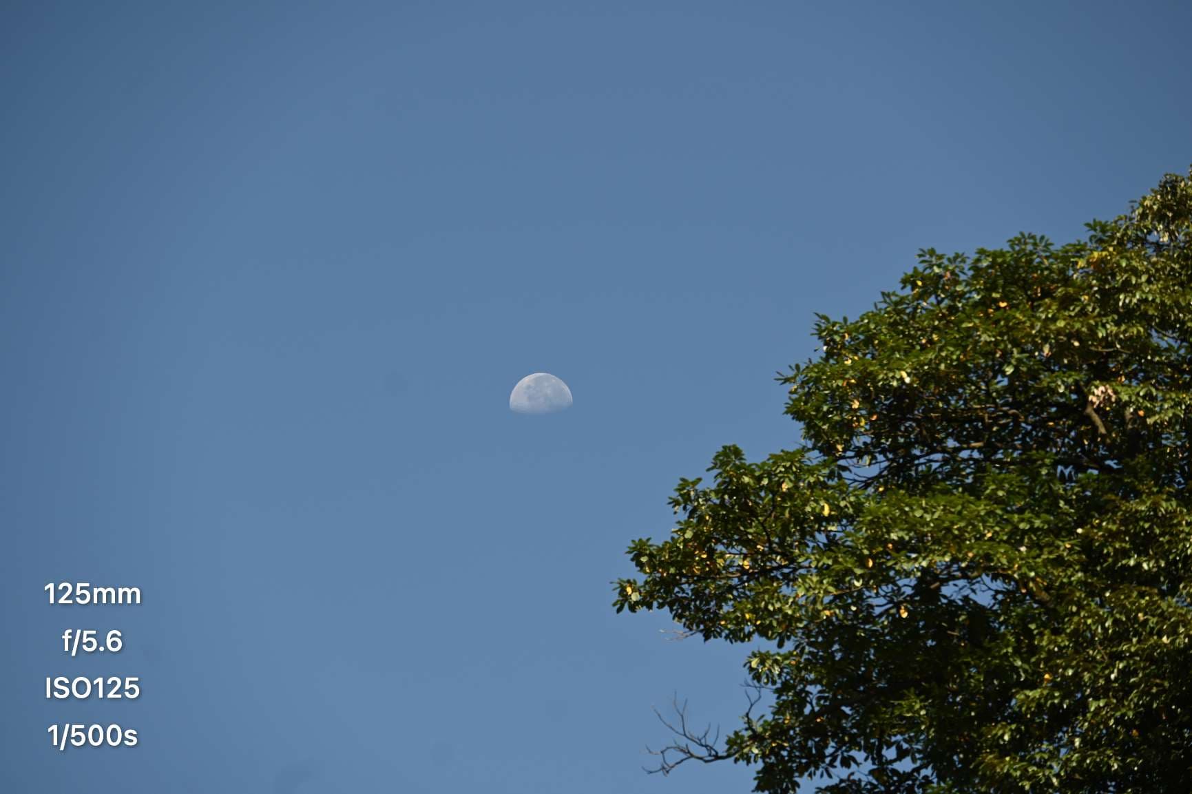 简约一模板预览