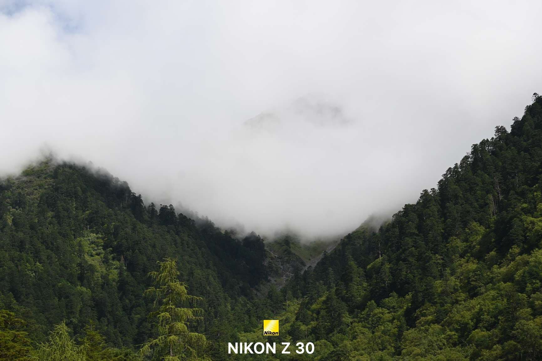 简约三模板预览