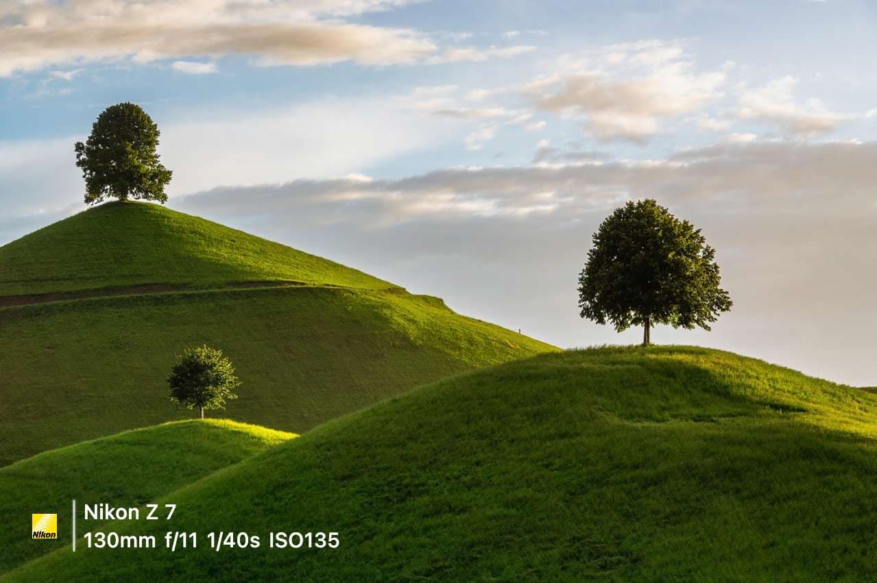 简约四模板预览