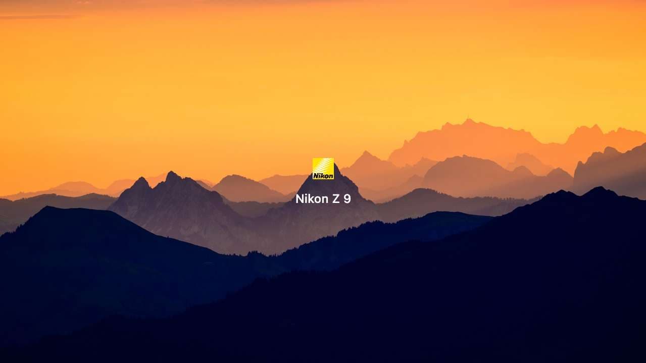 简约五模板预览