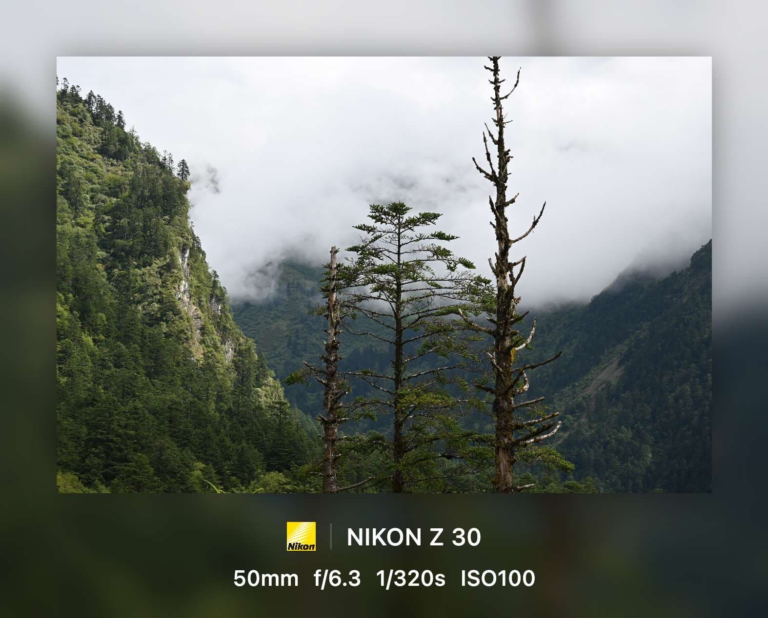 透明二模板预览